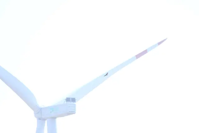 Tümü — BioCon saha çalışması görseli
